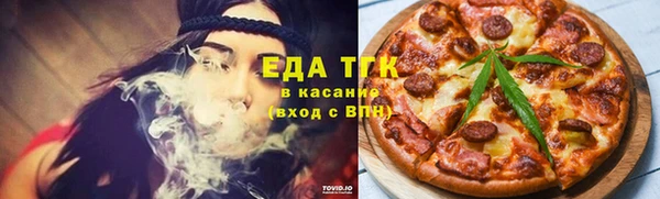 индика Дмитриев