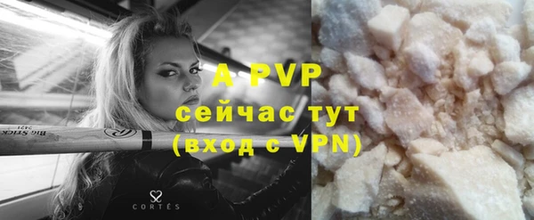 индика Дмитриев