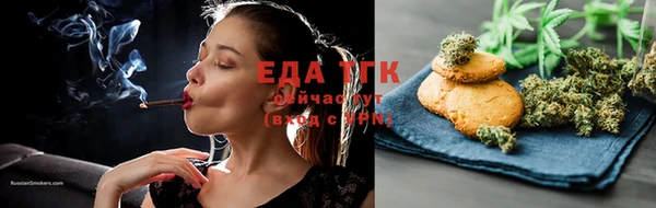 индика Дмитриев