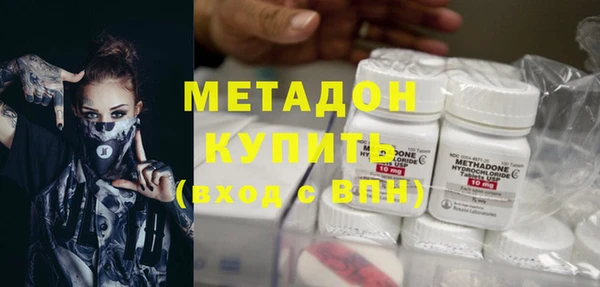 индика Дмитриев