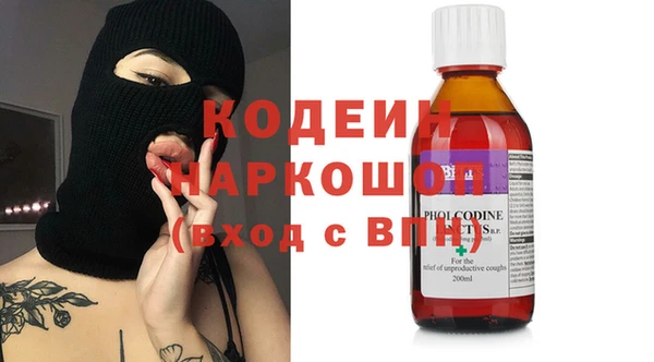 индика Дмитриев