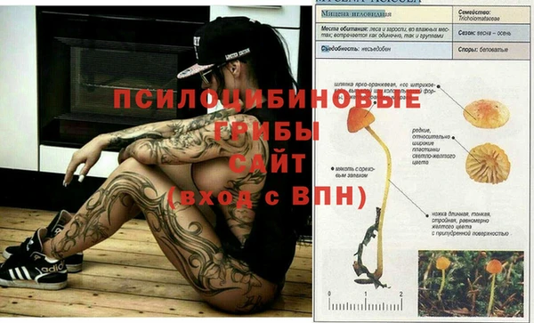 каннабис Дмитровск
