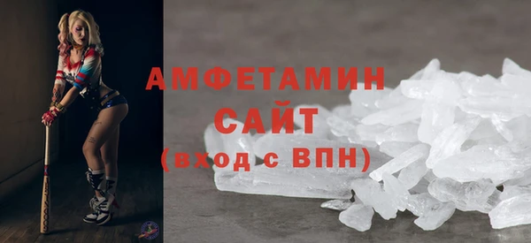 индика Дмитриев