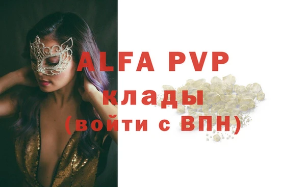 индика Дмитриев