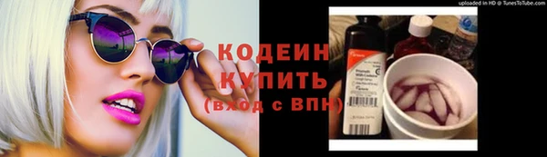 индика Дмитриев