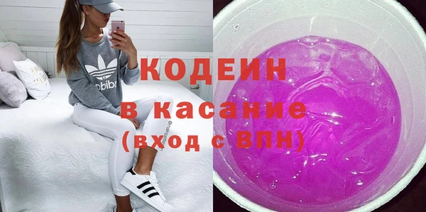индика Дмитриев