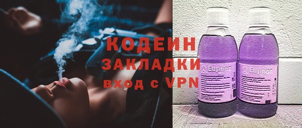 индика Дмитриев