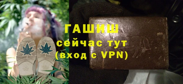 индика Дмитриев