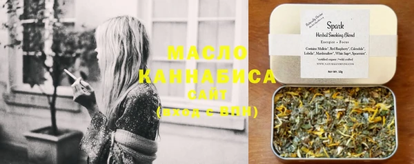 индика Дмитриев