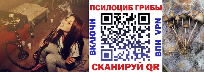 Галлюциногенные грибы ЛСД  Рошаль 